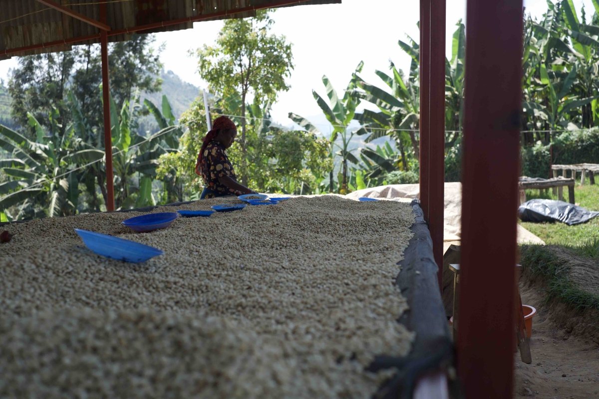 Kaffeprenumeration i maj - Kafferäven